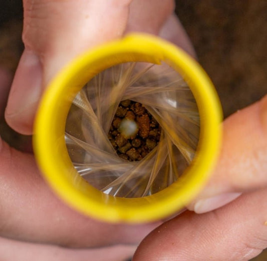 Transfer Solid Bag System - grimethorpe fishing supplies